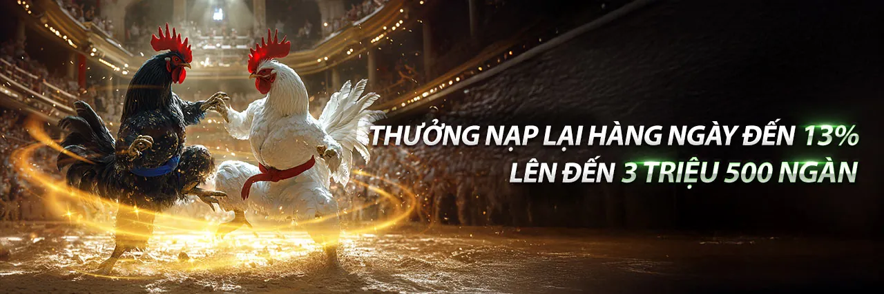 Trực Tiếp Gà Thomo Hôm Nay C1 - Sân Đấu Đá Gà Thomo